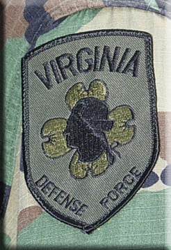picture of VDF Subdued Patch